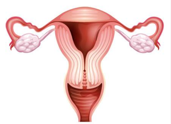 子宫内膜异位症是什么意思 影响怀孕吗