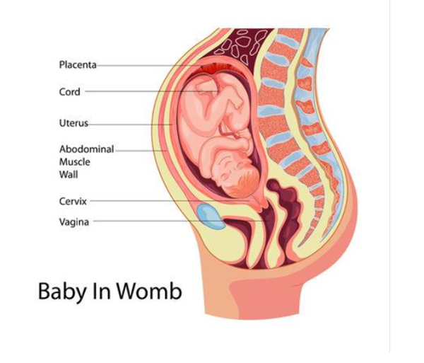输卵管积水影响备孕吗