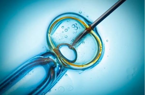 泰国试管婴儿胚胎质量