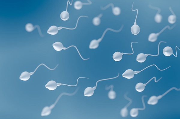 泰国试管婴儿：男性精子成活率低来看看这6个原因