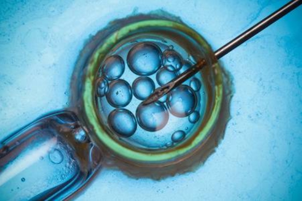 做试管婴儿鲜胚移植成功率高吗