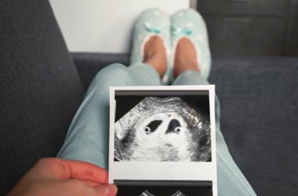 泰国试管婴儿胚胎