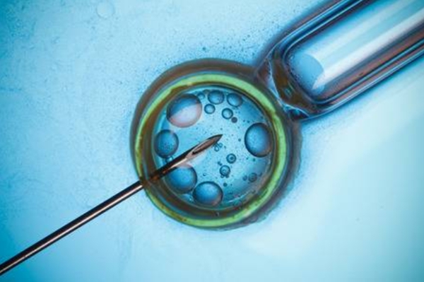 泰国试管婴儿解冻后胚胎
