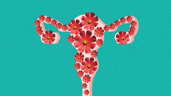 泰国试管婴儿:卵巢早衰做试管婴儿能成功吗